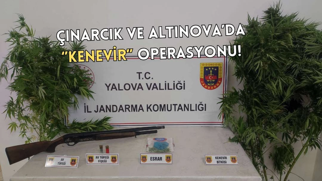 Yalova'da Uyuşturucu Operasyonu: Esrar ve Av Tüfeği Ele Geçirildi
