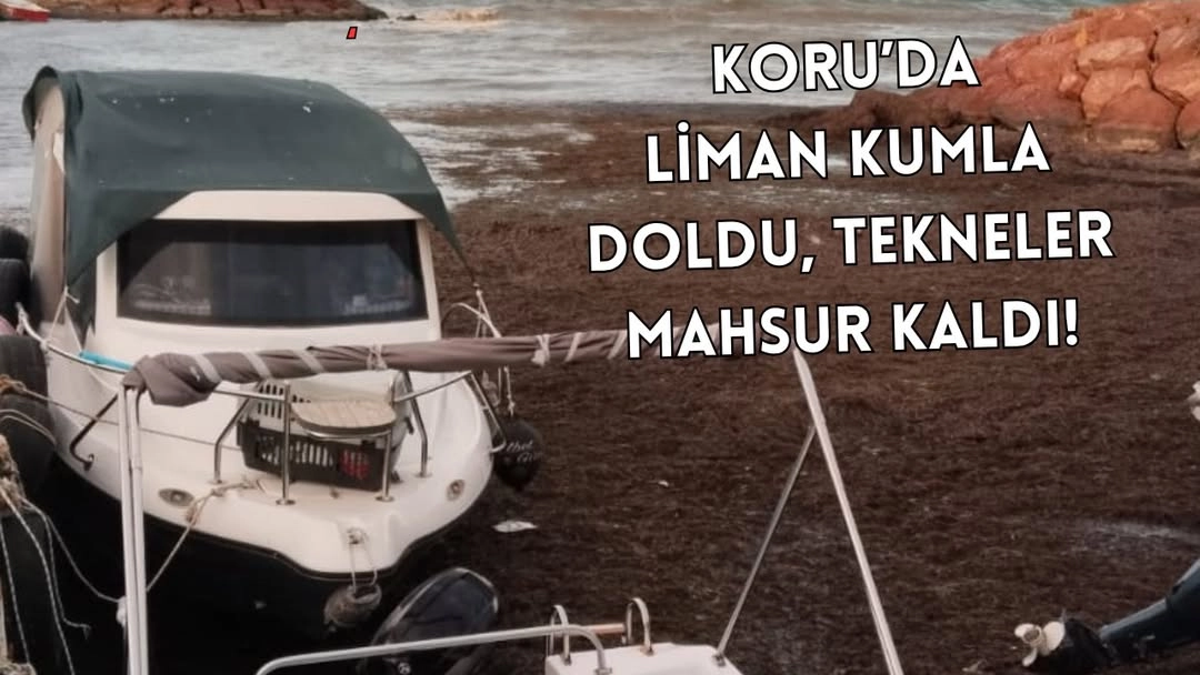 Yalova'da Balıkçı Barınağı Kum Doldu: 11 Tekne Denize Çıkamıyor