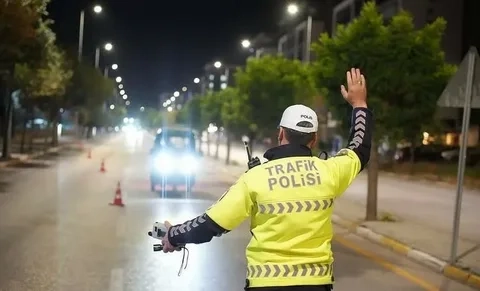 Çiftlikköy'de Sokak Hayvanlarına Rekor Hizmet: 9 Ayda 777 Kısırlaştırma