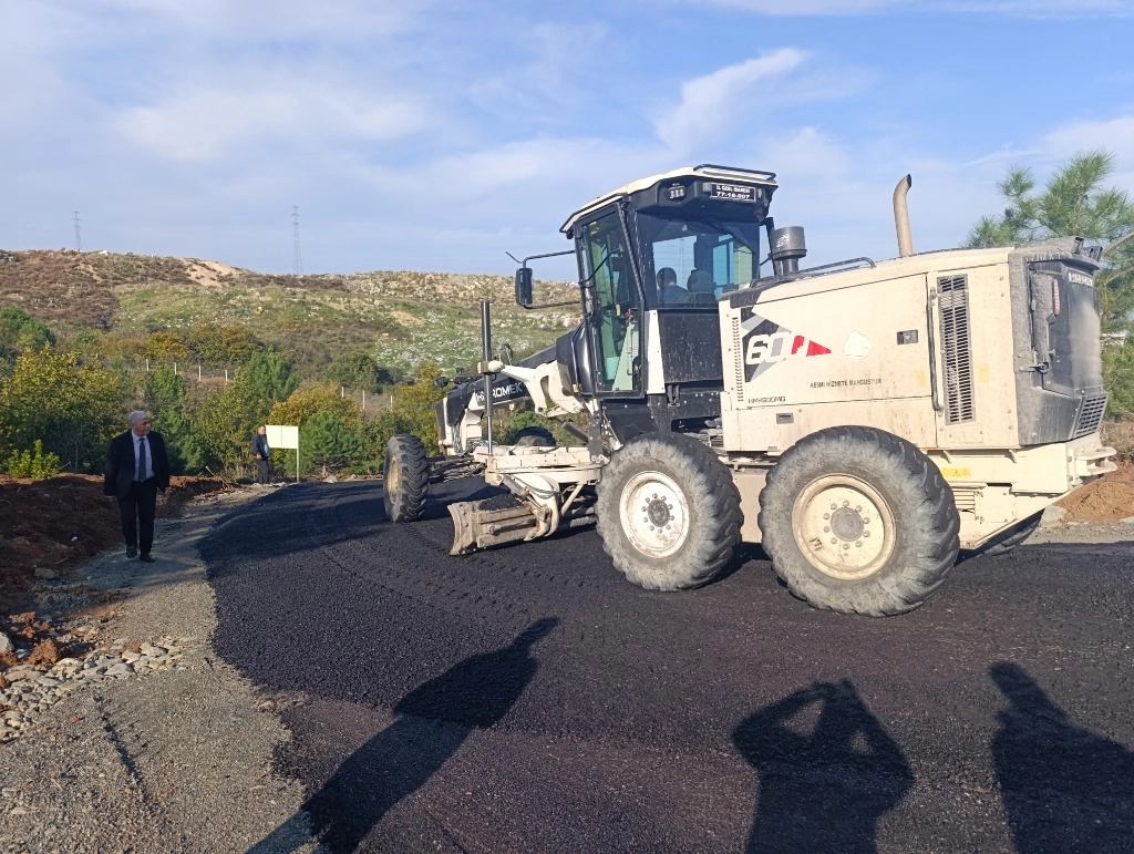 Çınarcık Sokak Hayvanları Bakımevine Asfalt Yol Tamamlandı