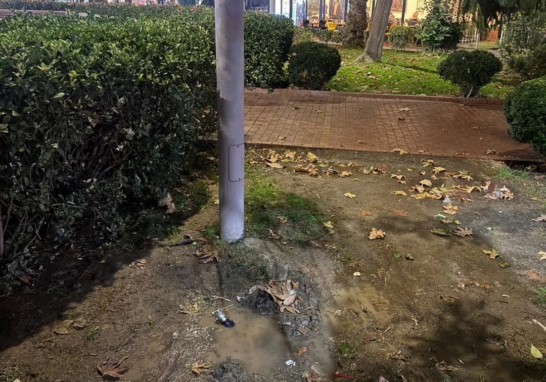 Yalova Cevdet Aydın Parkı Sulama Hattı Sabotajı: Belediye Hızla Müdahale Etti