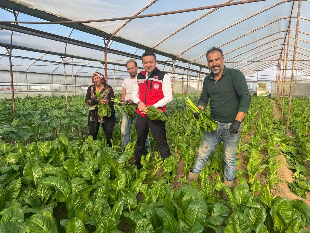 Yalova'da Sera Ziyareti: Üreticilere Devlet Desteği ve Modern Tarım Teknikleri