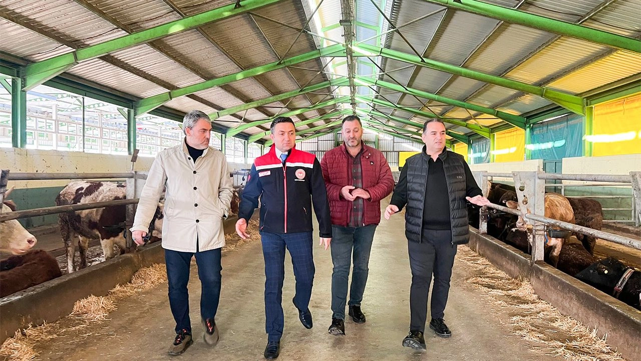 Yalova Tarım İl Müdürü Cemal Güleç Besi Çiftliği'ni Ziyaret Etti