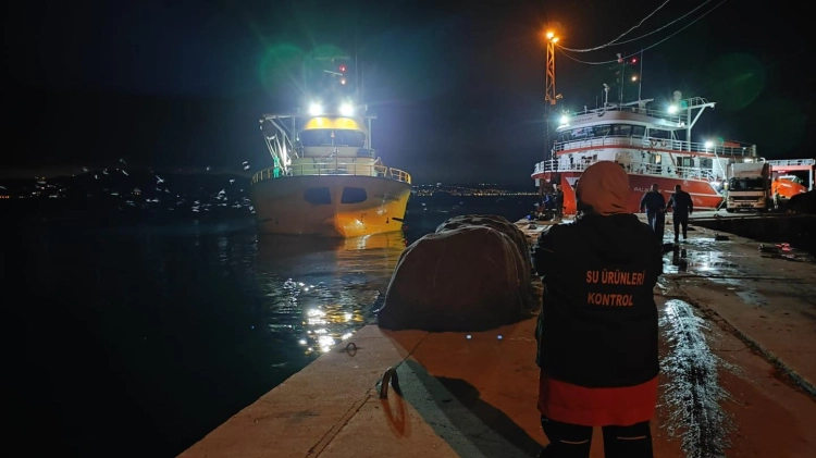 Yalova'da Hamsi Bereketi: 113 Ton Balık Karaya Çıkarıldı!