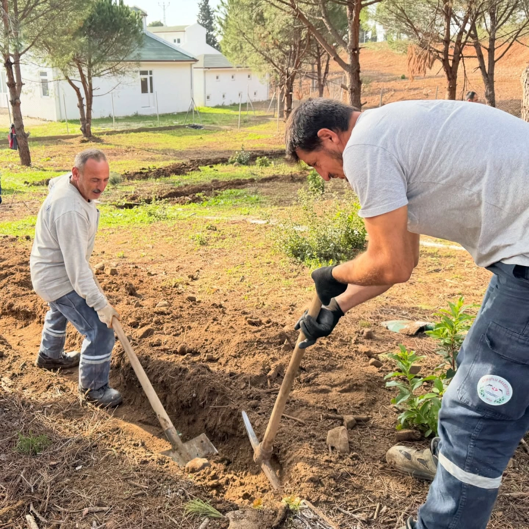 Armutlu'da Sokak Hayvanları İçin Doğal Yaşam Alanı Projesi