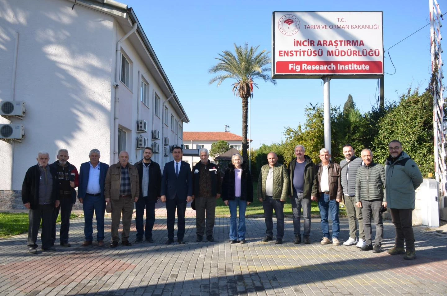Çınarcık'ta Kivi Krizine Çözüm: İncir Yetiştiriciliği Başlıyor!