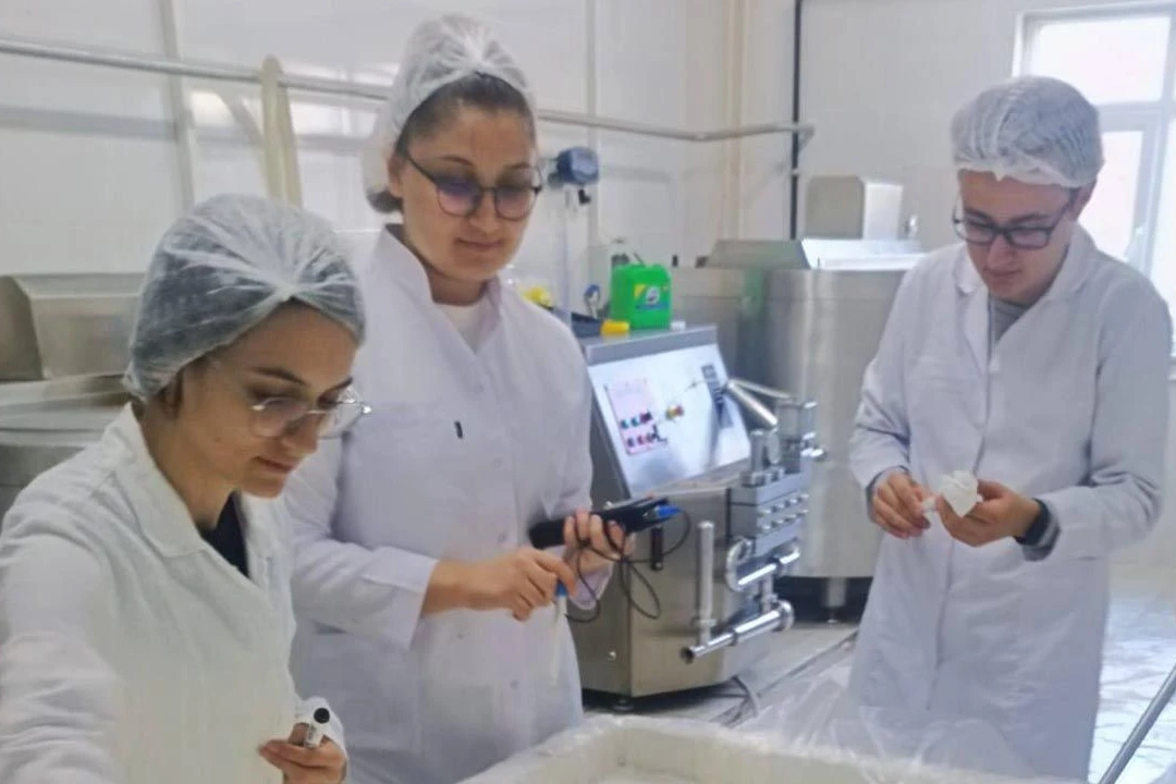 Yalova Üniversitesi Kıvırcık Peynir Projesi MARKA'dan Destek Aldı