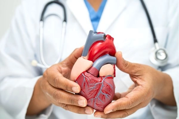 Altınova'da Kalp ve Damar Cerrahisi Polikliniği Açıldı - MHRS Randevu