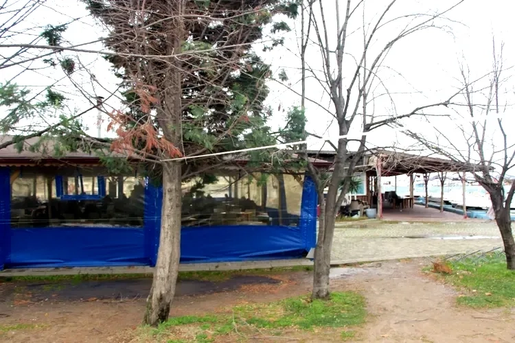 Yalova Fırtınasında Halatla Ağaç Kurtarma Operasyonu