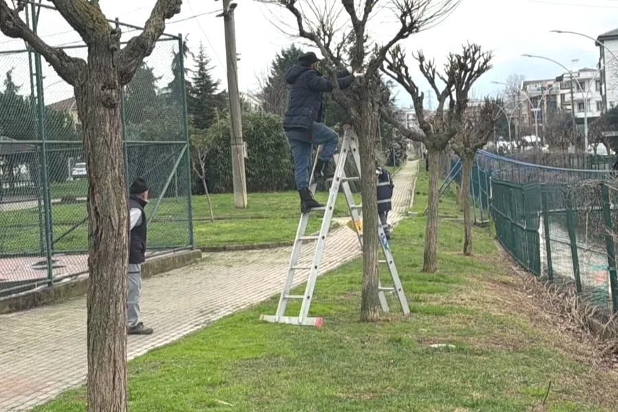 Çiftlikköy Belediyesi Hizmetleri: Altyapı, Sosyal Destek ve Park Çalışmaları