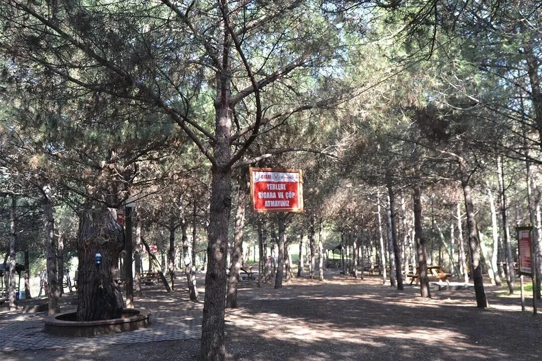 Bayraktepe Mesire Alanı Artık Ücretsiz - Altınova'da Doğaseverlere Müjde