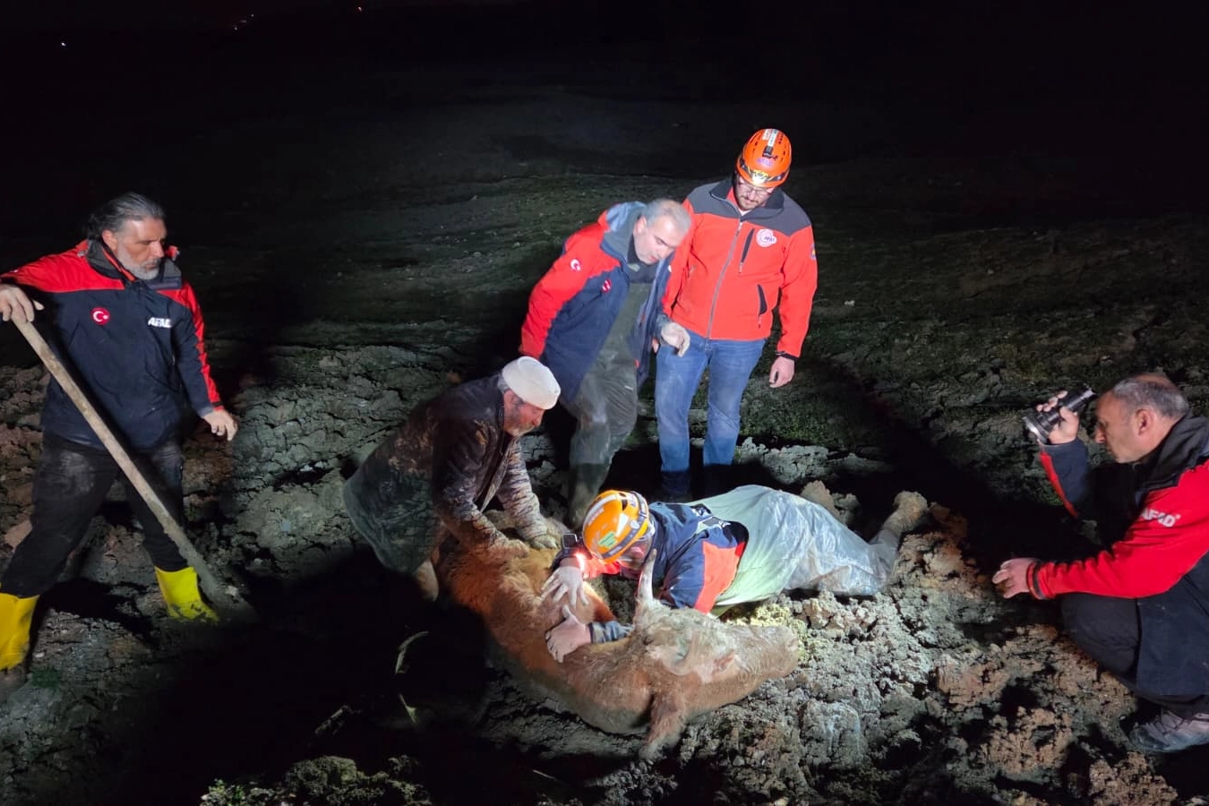 Yalova'da Bataklık Kurtarma Operasyonu: Vatandaş ve Hayvan Kurtarıldı