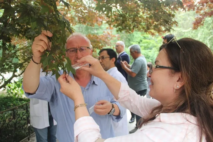Yalova'da Samuray Arıları Doğaya Salındı | Kahverengi Kokarca Mücadelesi