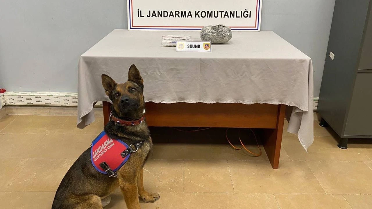 Yalova'da 525 Gram Skunk Ele Geçirildi: Uyuşturucu Operasyonu