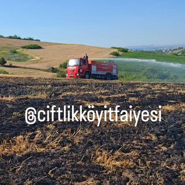 Çiftlikköy Anız Yangını: İtfaiye Hızlı Müdahale ile Felaketi Önledi