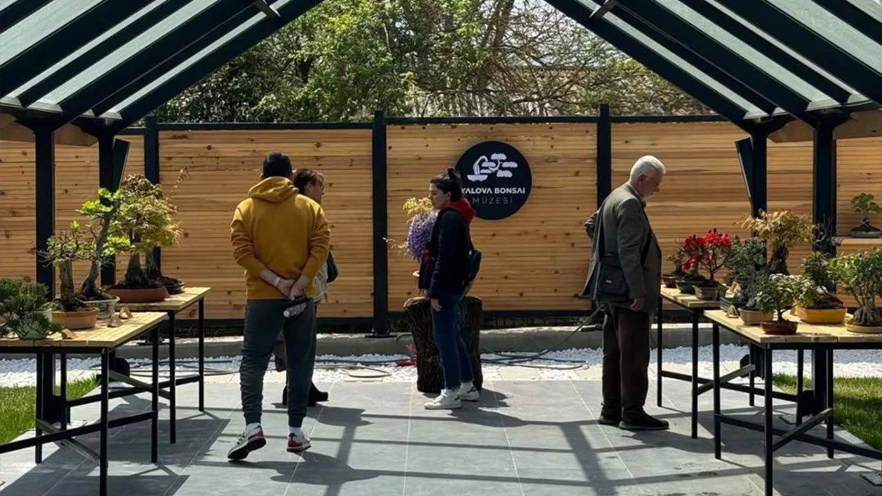 Yalova'ya Yeni İkonik Müzeler Geliyor - Bonsai Müzesi Başarısı
