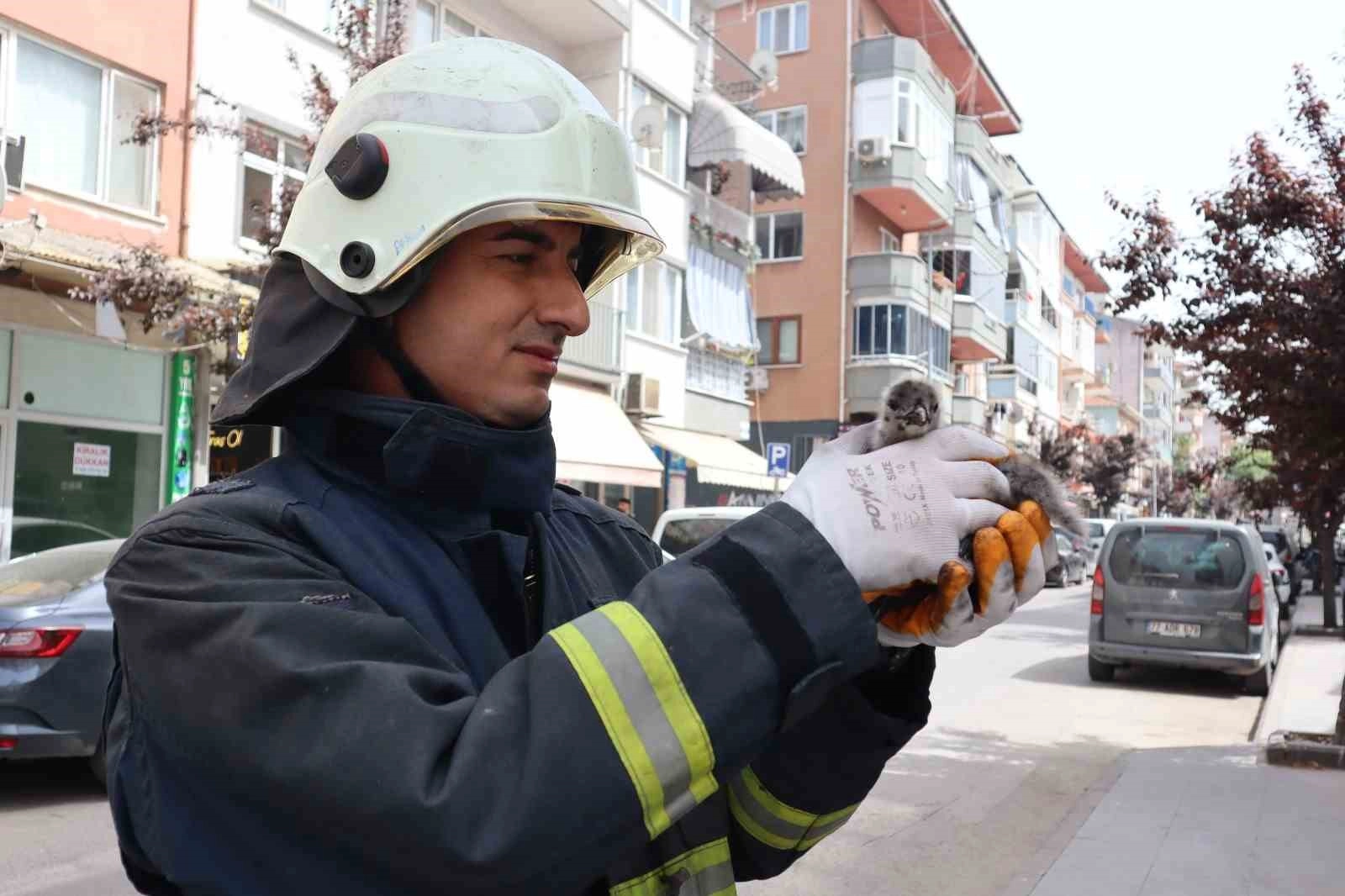 Yalova'da Yavru Martı İtfaiye Kurtardı | Çatıdan Düşen Kuş Kurtarıldı