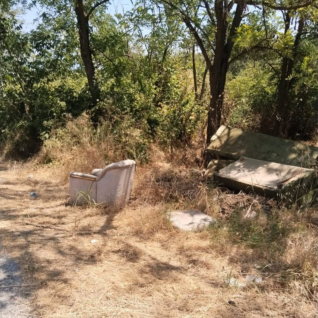 Subaşı'nda Çevre Kirliliği: İlçe Yolundaki Atıklar Tepki Çekti