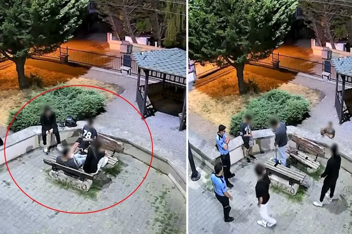 Yalova'da Çevre İhlali: Çekirdek Kabukları Zabıta Kamerasına Yakalandı