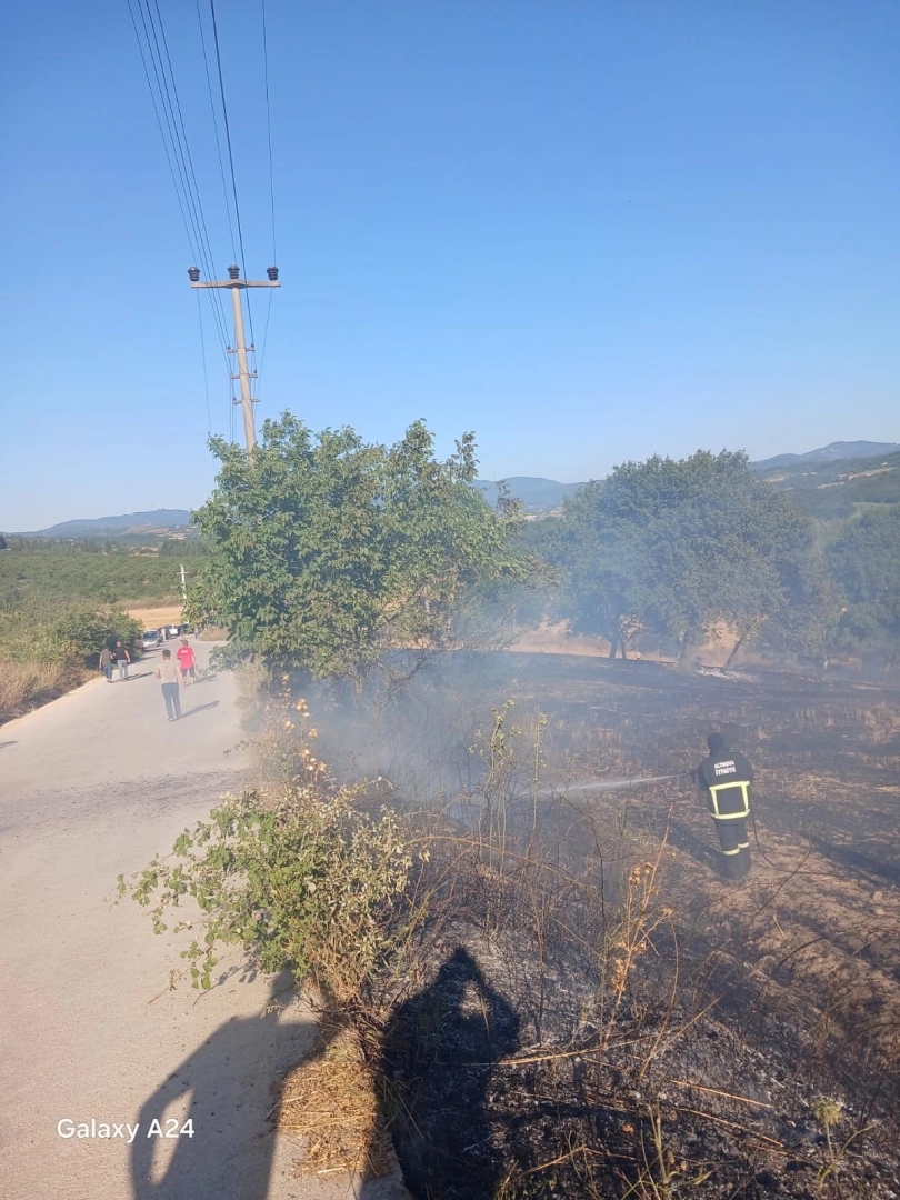 Altınova'da Arazi Yangını: İtfaiye Ekipleri Hızlı Müdahaleyle Yangını Söndürdü