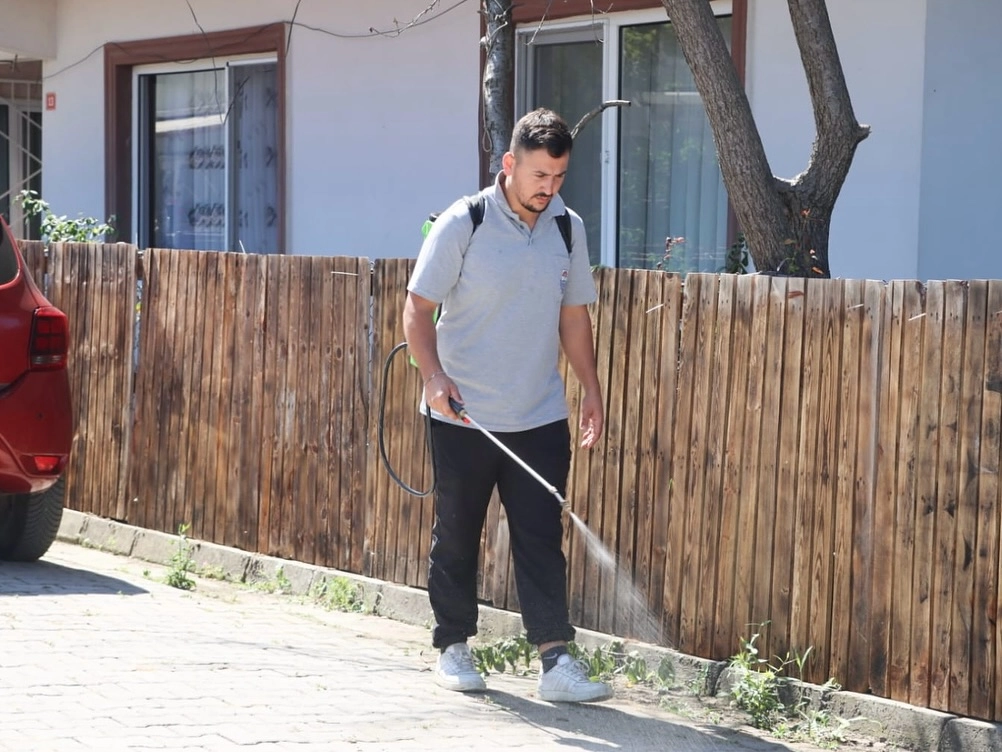 Yalova'da Yabani Ot Mücadelesi: Çevre Dostu Çözümler