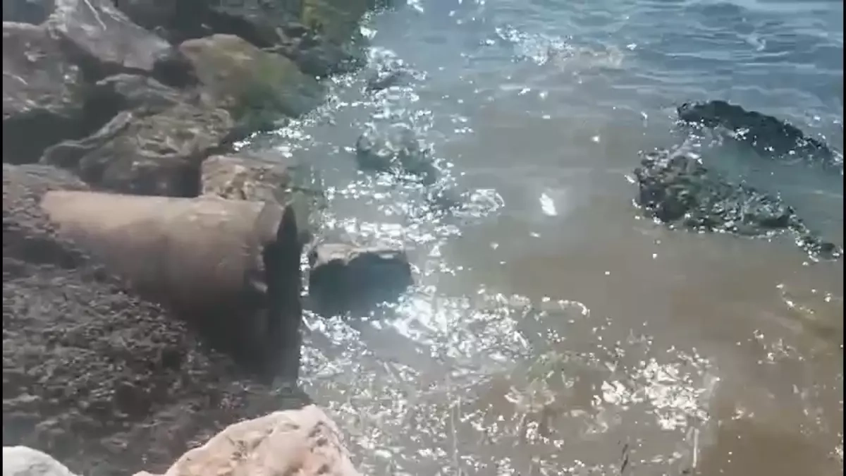 Yalova Belediyesi'ne 13 Milyon TL Atık Su Ceza | Çevre İhlali