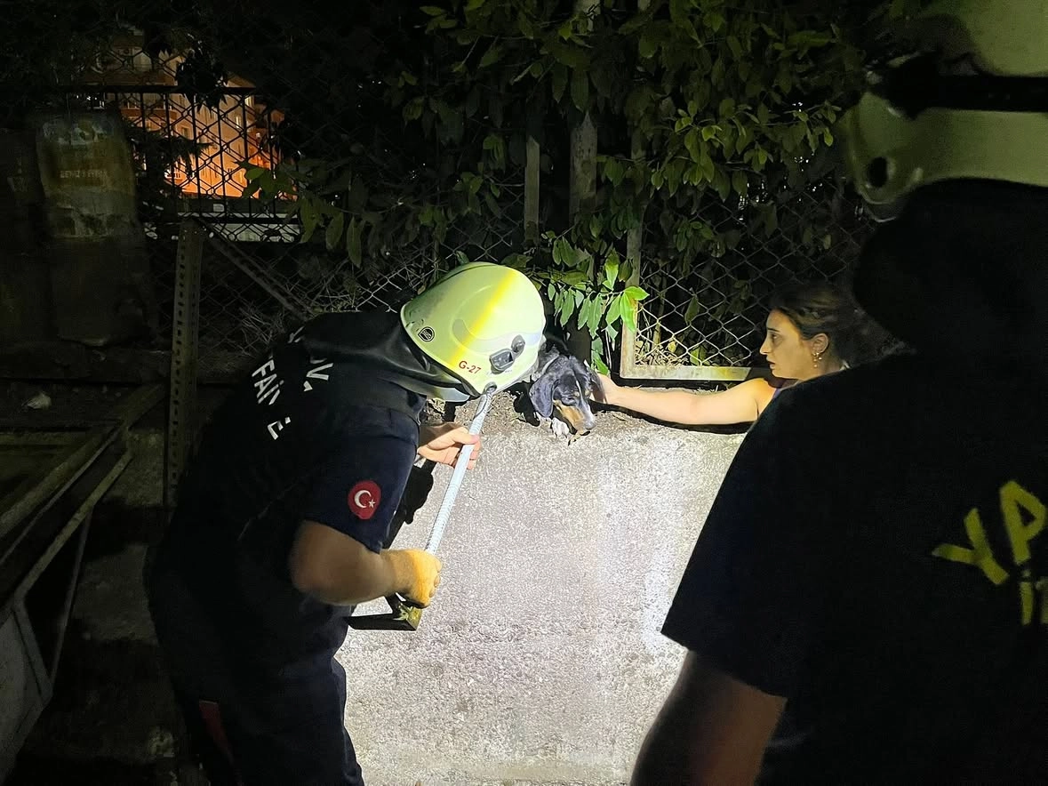 Yalova İtfaiyesi Cınarlı Camii Sokak'ta Köpeği Kurtardı