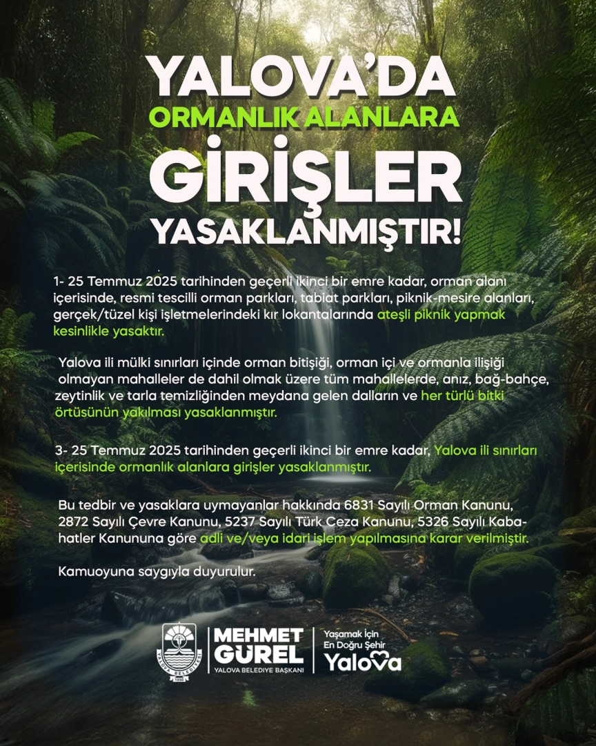 Yalova'da Orman Yangını Önlemleri: Piknik ve Bitki Yakma Yasaklandı