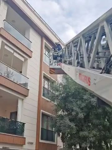Yalova İtfaiyesi Fırın Sokak'ta Kuş Kurtardı | Operasyon Detayları