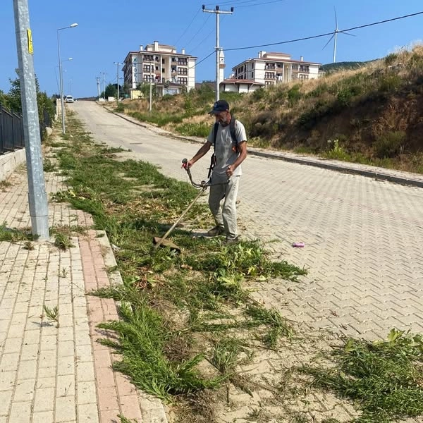 Armutlu'da Yeşil Alan Temizliği: Yol Kenarları ve Açık Alanlar Yenilendi