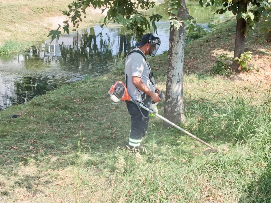 Yalova'da Dere Temizliği: Sivrisinek ve Haşere Sorunu Çözüldü