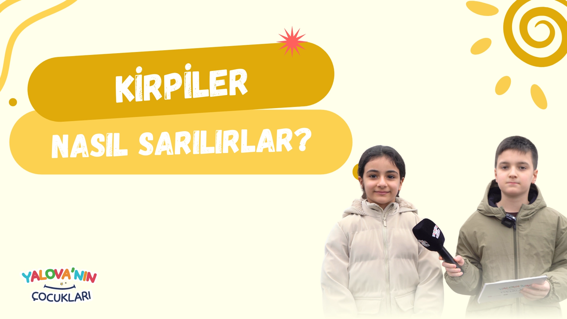 Kirpiler Nasıl Sarılır? Yalova'da Eğlenceli Sokak Röportajları