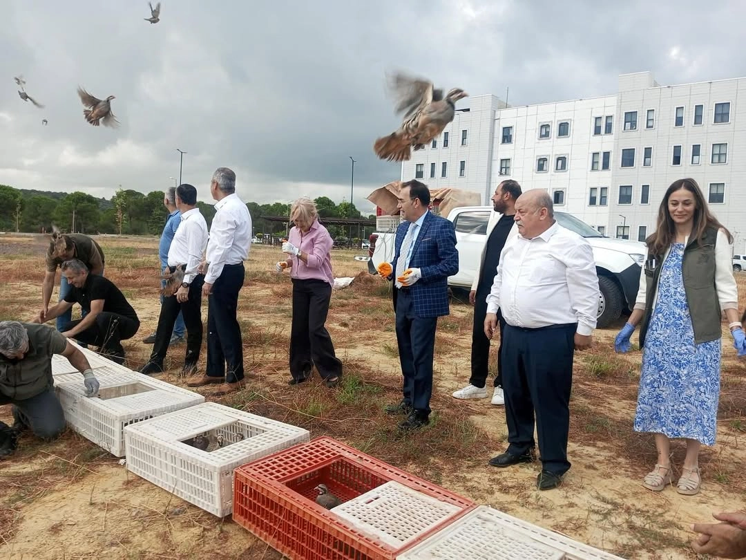 Yalova Üniversitesi'nde Keklik Salımı: Doğal Yaşam Canlandı