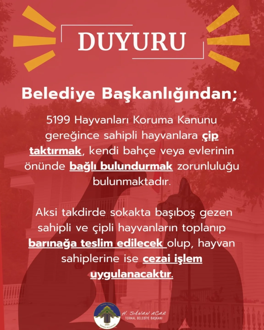 Termal'de Hayvan Çipi Zorunluluğu: Cezalar ve Bağlama Kuralları