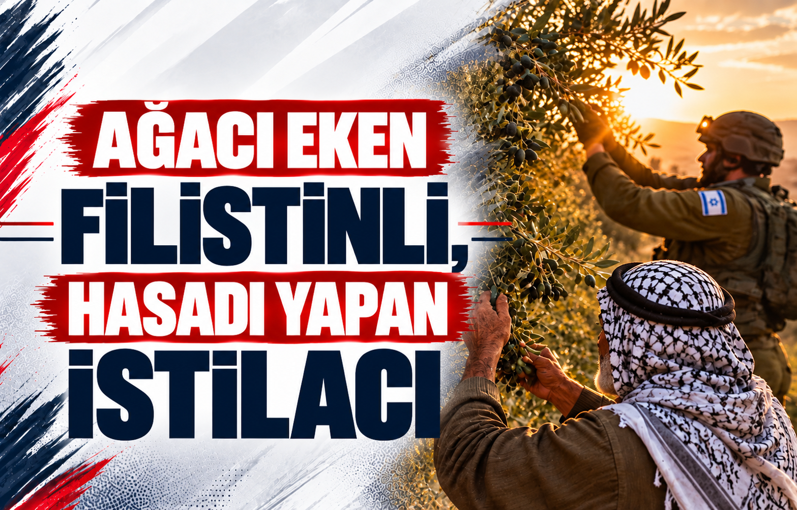 Ağacı Eken Filistinli, Hasadı Yapan İstilacı