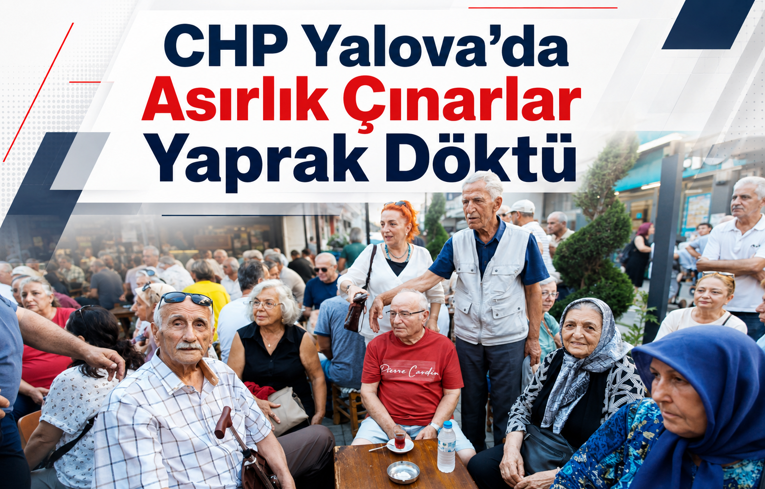 CHP Yalova’da Asırlık Çınarlar Yaprak Döktü