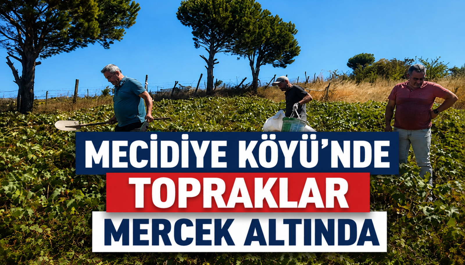 Mecidiye Köyü'nde Topraklar Mercek Altında