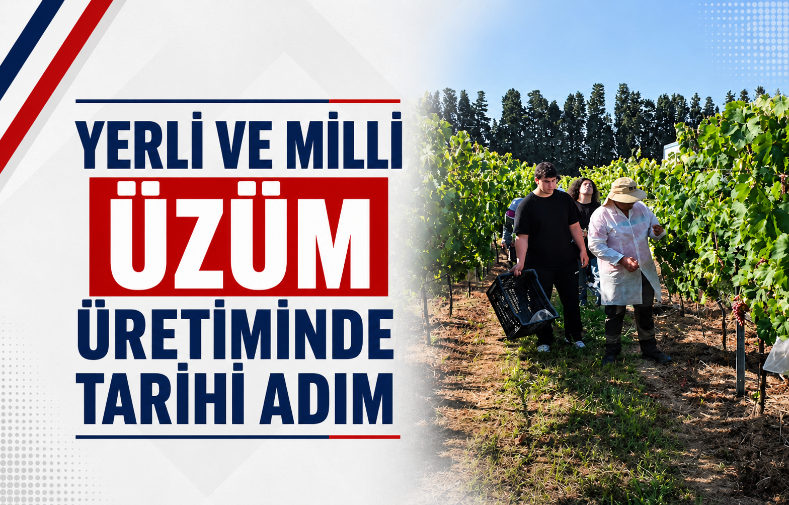 Yerli ve Milli Üzüm Üretiminde Tarihi Adım