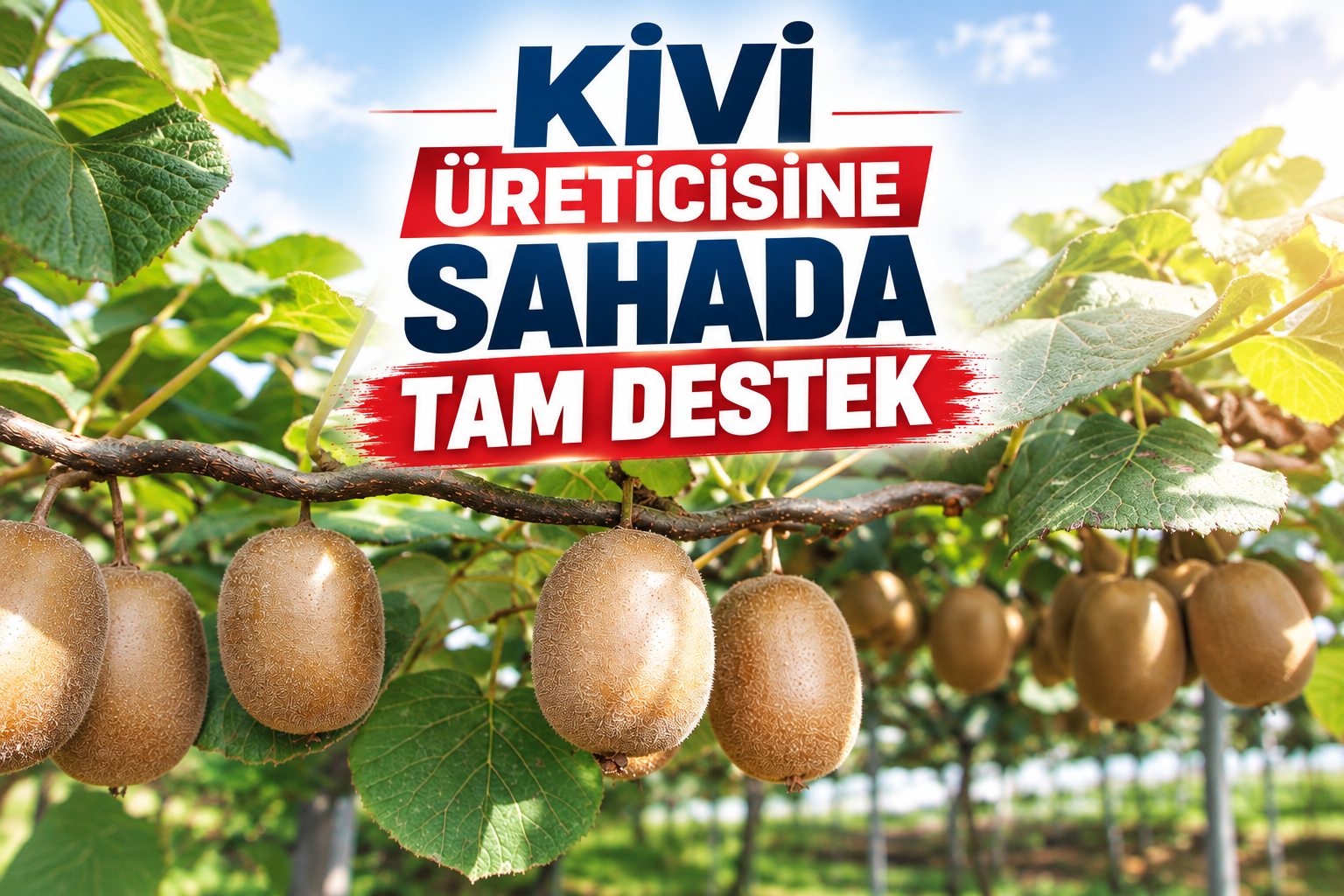 Kivi Üreticisine Sahada Tam Destek