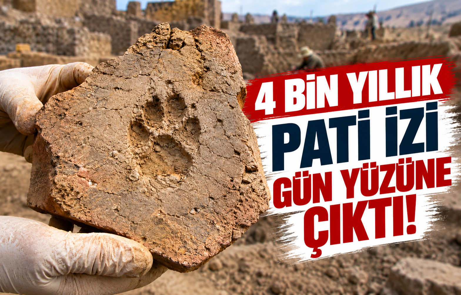 4 BİN YILLIK PATİ İZİ GÜN YÜZÜNE ÇIKTI!