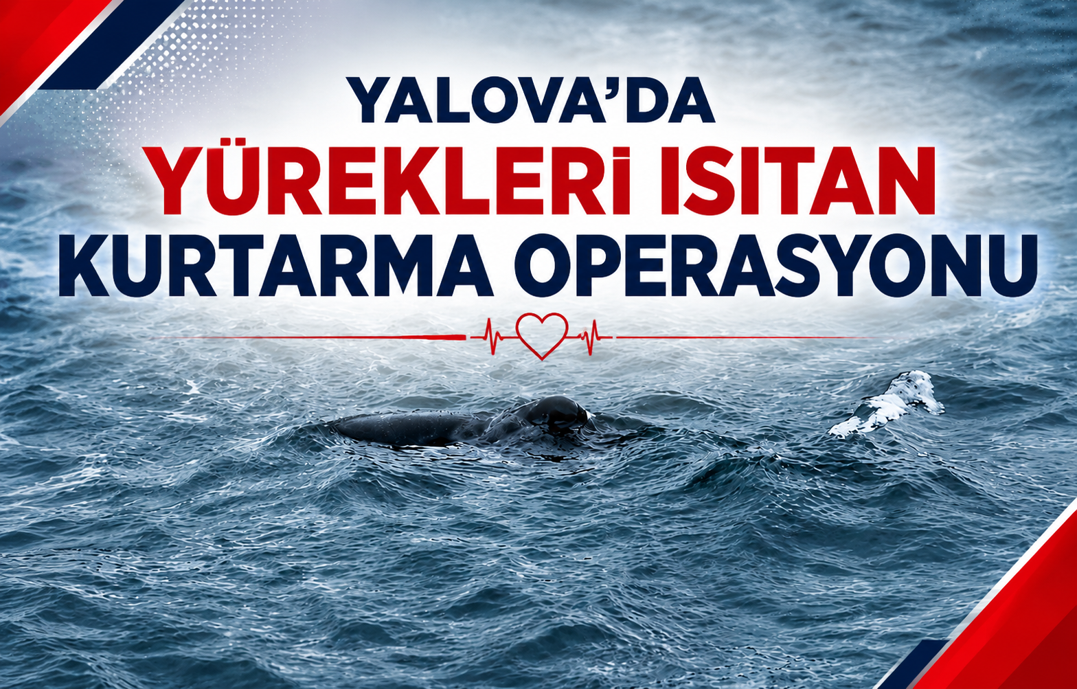 Yalova’da Yürekleri Isıtan Kurtarma Operasyonu