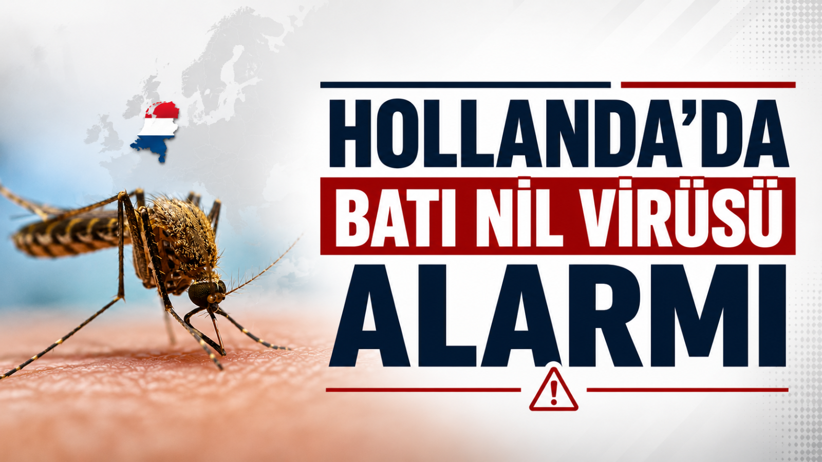 Hollanda'da Batı Nil Virüsü Alarmı!