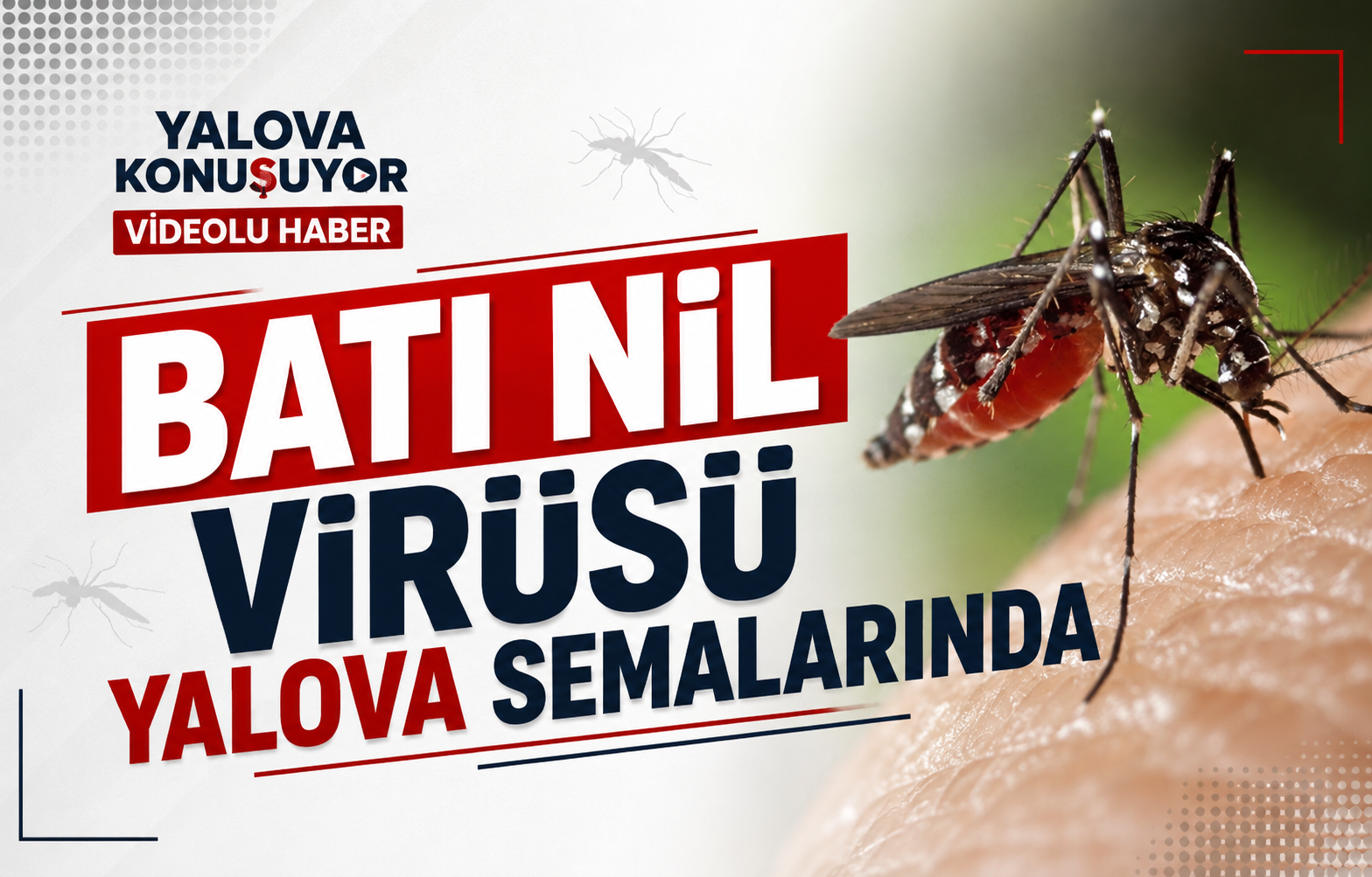 Batı Nil Virüsü Yalova Semalarında
