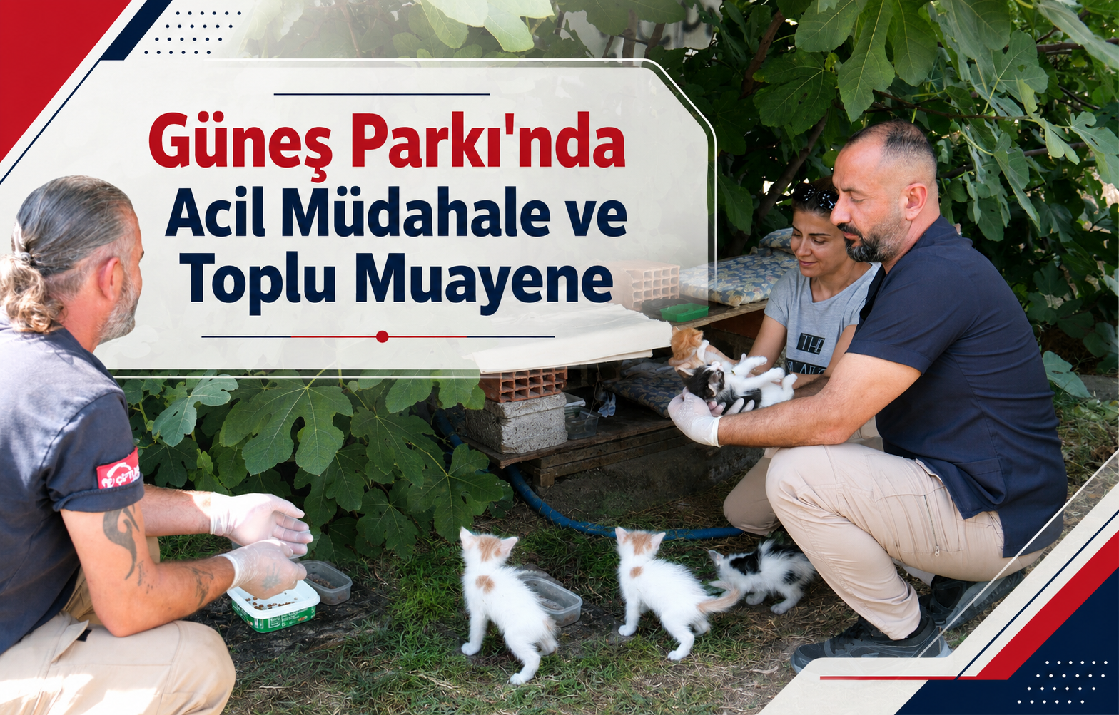 Güneş Parkı'nda Acil Müdahale ve Toplu Muayene