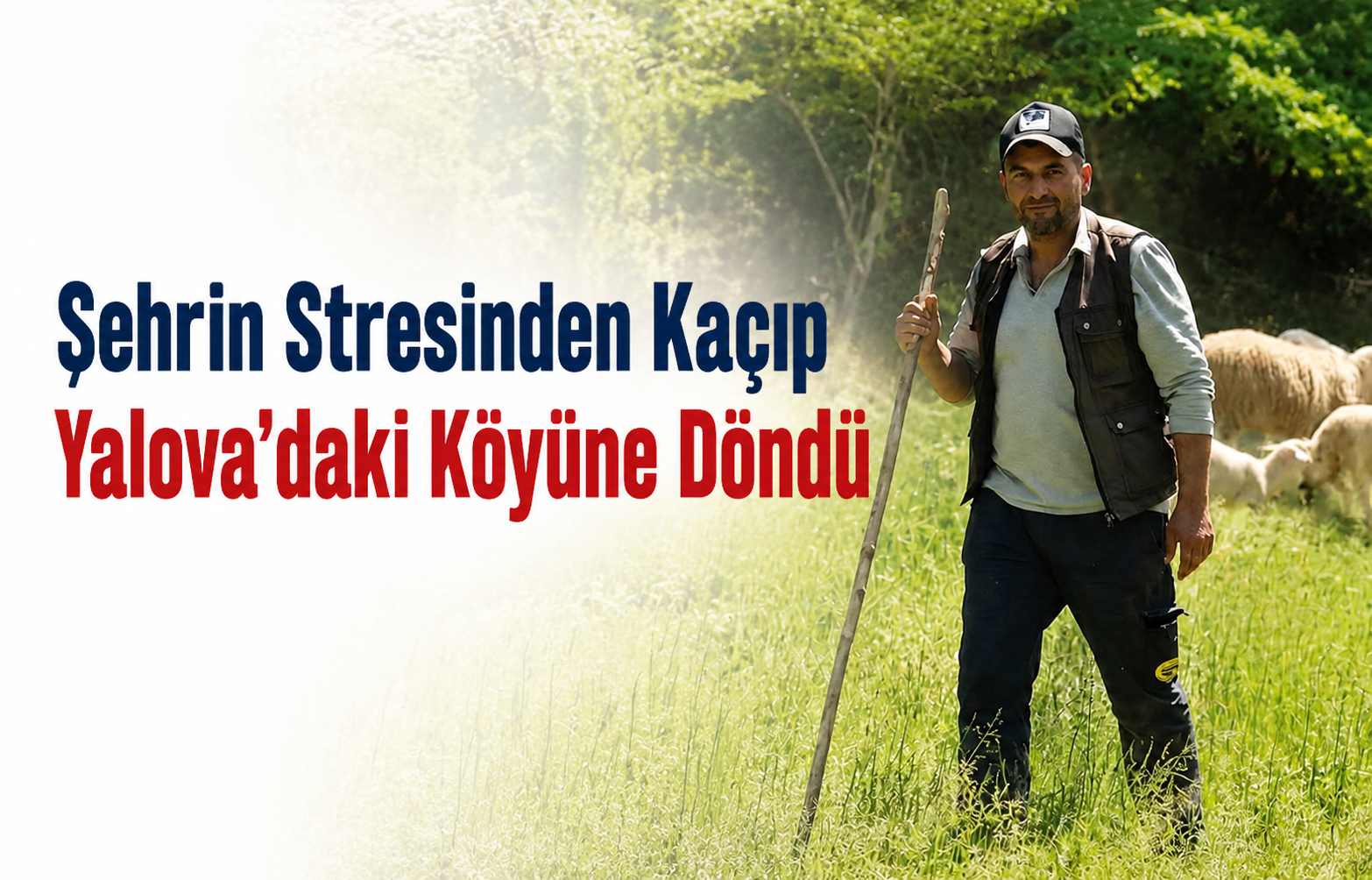 Şehrin Stresinden Kaçıp Yalova’daki Köyüne Döndü