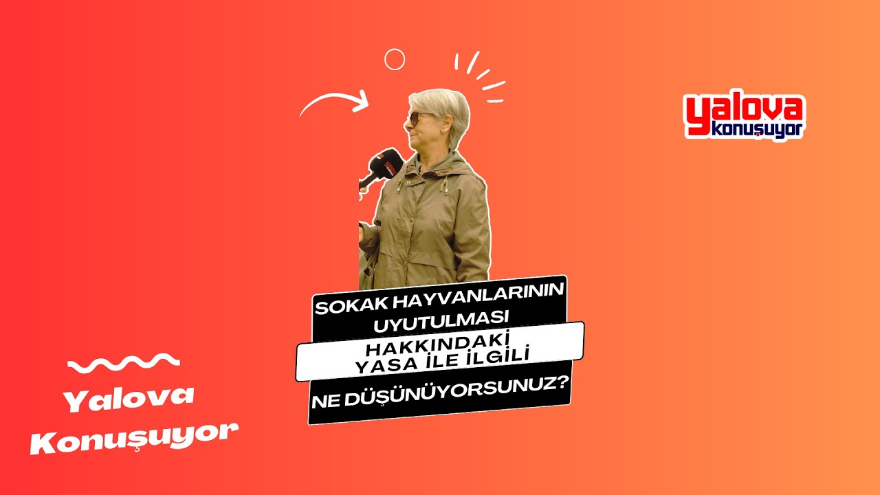 'Onların da Yaşamaya Hakkı Var': Yalovalılar Sokak Hayvanlarının Uyutulmasına Karşı Çıktı