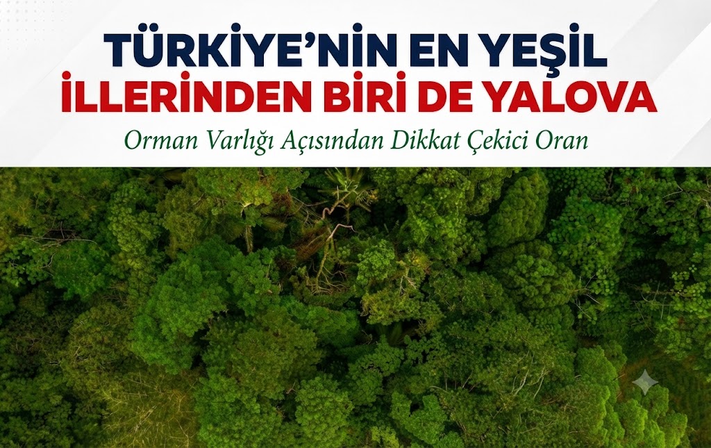 Türkiye’nin En Yeşil İllerinden Biri de Yalova