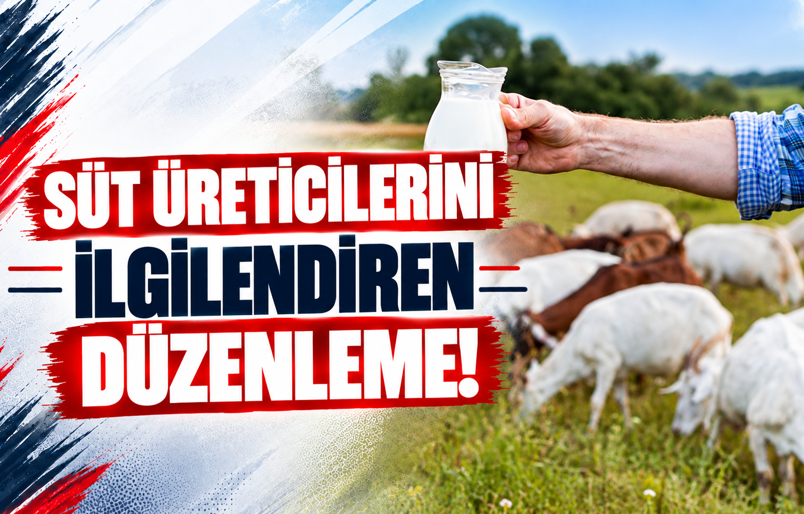 SÜT ÜRETİCİLERİNİ İLGİLENDİREN DÜZENLEME!