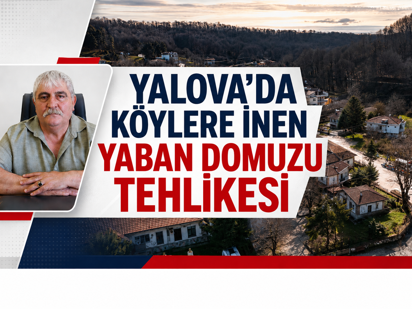 Yalova'da Köylere İnen Yaban Domuzu Tehlikesi