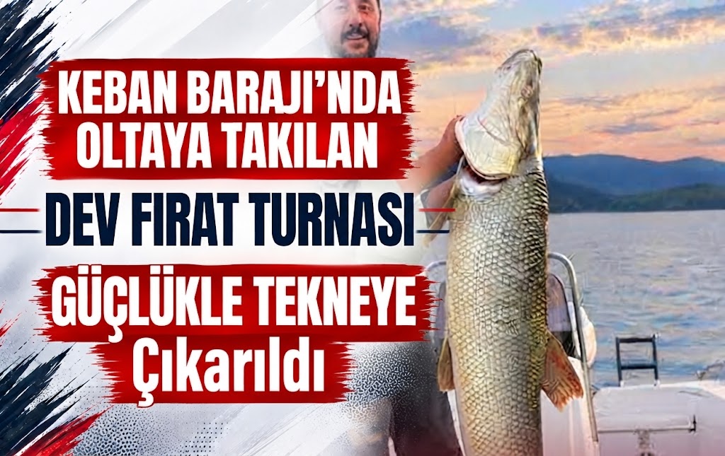 Keban Barajı'nda Oltaya Takılan Dev Fırat Turnası Güçlükle Tekneye Çıkarıldı